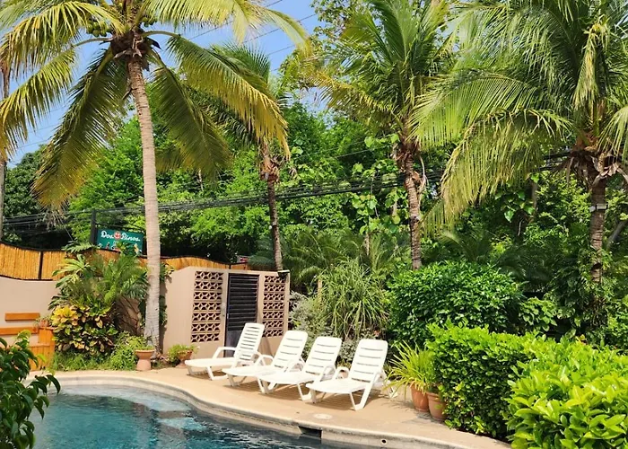 Guest House Apartamento Playa Flamingo